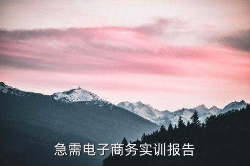電子商務網(wǎng)站首頁實訓報告，求一個電子商務實訓總結...